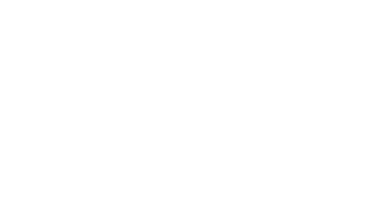 Fritz Automation